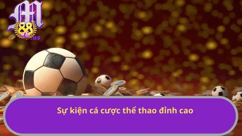 Sự kiện cá cược thể thao đỉnh cao
